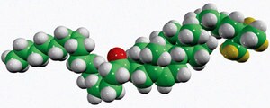 Merck 16:0 CHOLESTERYL-D7 ESTER