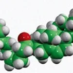 Merck 16:0 CHOLESTERYL-D7 ESTER