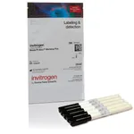 Thermo Fisher Scientific ReadyProbes Solvent-Resistant Permanent Marking Pen