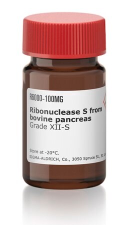 Merck Ribonuclease S from bovine pancreas