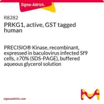 Merck PRKG1, active, GST tagged human