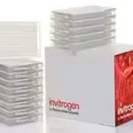 Thermo Fisher Scientific Silencer Select Pre-Designed siRNA, 5 nmol