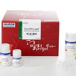 Intron Fast DNA-spin™ Plasmid DNA Purification Kit