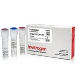 Thermo Fisher Scientific Single Cell Lysis Kit