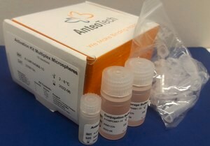 Merck ACTIVATION KIT FOR MULTIPLEX MICROSPHER