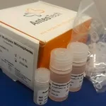Merck ACTIVATION KIT FOR MULTIPLEX MICROSPHER