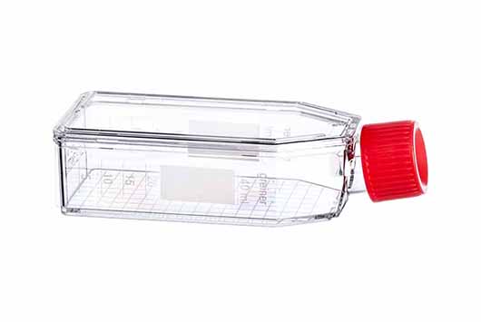 Greiner Bio One CELL CULTURE FLASK, 50 ML, 25 CM², PS,RED STANDARD SCREW CAP, MEASURING GRID, CLEAR, CELLSTAR® TC, STERILE, 10 PCS./BAG