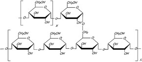 Merck AMYLOPECTIN FROM POTATO