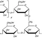 Merck AMYLOPECTIN FROM POTATO