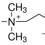 Merck CHOLINE HYDROXIDE SOLUTION 46 WT.%IN H2O