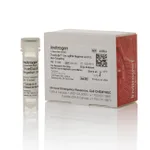 Thermo Fisher Scientific TrueGuide sgRNA Negative Control, non-targeting 1