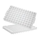 Axygen 96-well PCR Microplates_Half Skirt, Low Profile 96 PCR 플레이트ABI_AX.PCR-96-LP-AB-C