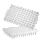 Axygen 96-well PCR Microplates96 PCR 플레이트_AX.PCR-96-SG-C