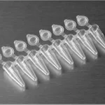 Axygen 0.2ml 8-Strip and Individual PCRⓇ Tubes PCR 8스트립 튜브,개별캡