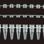 Axygen Axygen 0.2ml 8-Strips PCRⓇ Tubes PCR 8스트립 튜브