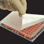 Axygen Adhesive Films 접착성 필름_AX.BF-400