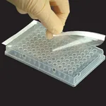 Axygen Ultraclear Sealing Film 울트라클리어 씰링 필름_AX.UC-500