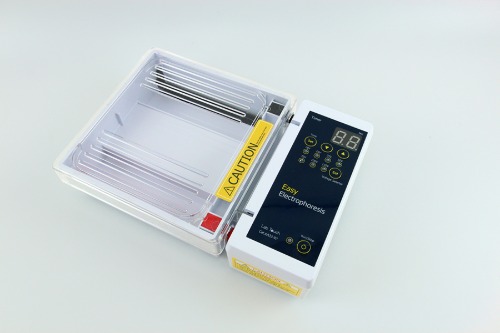 고려에이스 Easy Electrophoersis Lab Touch™ 전기영동기