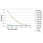 Thermo Fisher Scientific Rabbit anti-Human IgG2 Recombinant Secondary Antibody, Biotin