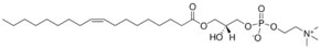 Merck 18:1 LYSO PC