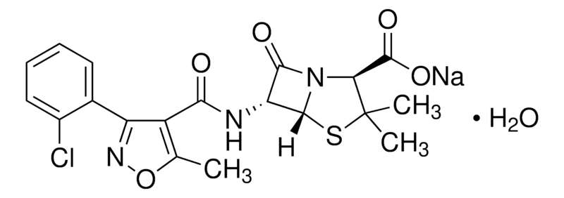 Merck Cloxacillin sodium salt monohydrate