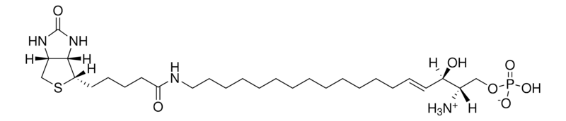 Merck Biotin S1P