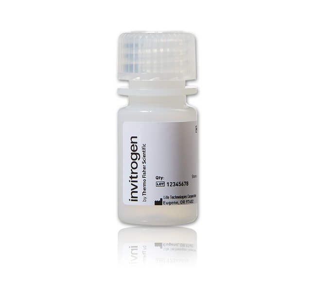 Thermo Fisher Scientific FluoSpheres Amine-Modified Microspheres, 1.0 &mu;m, yellow-green fluorescent (505/515), 2% solids