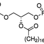 Merck L-A-PHOSPHATIDYLETHANOLAMINE,DISTEAROYL