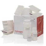 Thermo Fisher Scientific PureLink Pro 96 PCR Purification Kit