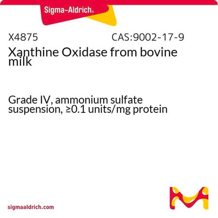 Merck Xanthine Oxidase from bovine milk