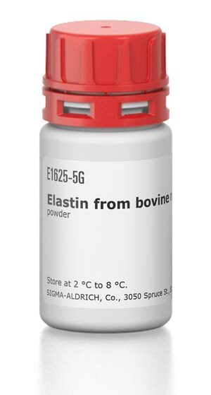 Merck ELASTIN FROM BOVINE NECK LIGAMENT