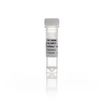 Thermo Fisher Scientific mirVana miRNA Mimic, 5 nmol