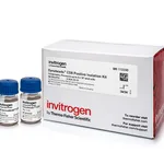 Thermo Fisher Scientific Dynabeads CD8 Positive Isolation Kit