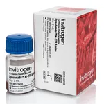 Thermo Fisher Scientific Dynabeads M-270 Amine, 2 mL