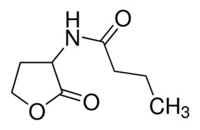 Merck N-BUTYRYL-DL-HOMOSERINE LACTONE >= 96.0