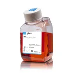 Thermo Fisher Scientific DMEM, low glucose, pyruvate, HEPES