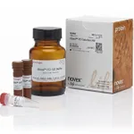 Thermo Fisher Scientific iBind Fluorescent Detection (FD) Solution Kit