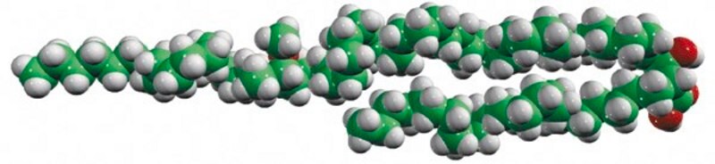 Merck alpha-mycolic acid, methoxy cis