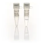Thermo Fisher Scientific phi29 DNA Polymerase (10 U/μL), 250 units