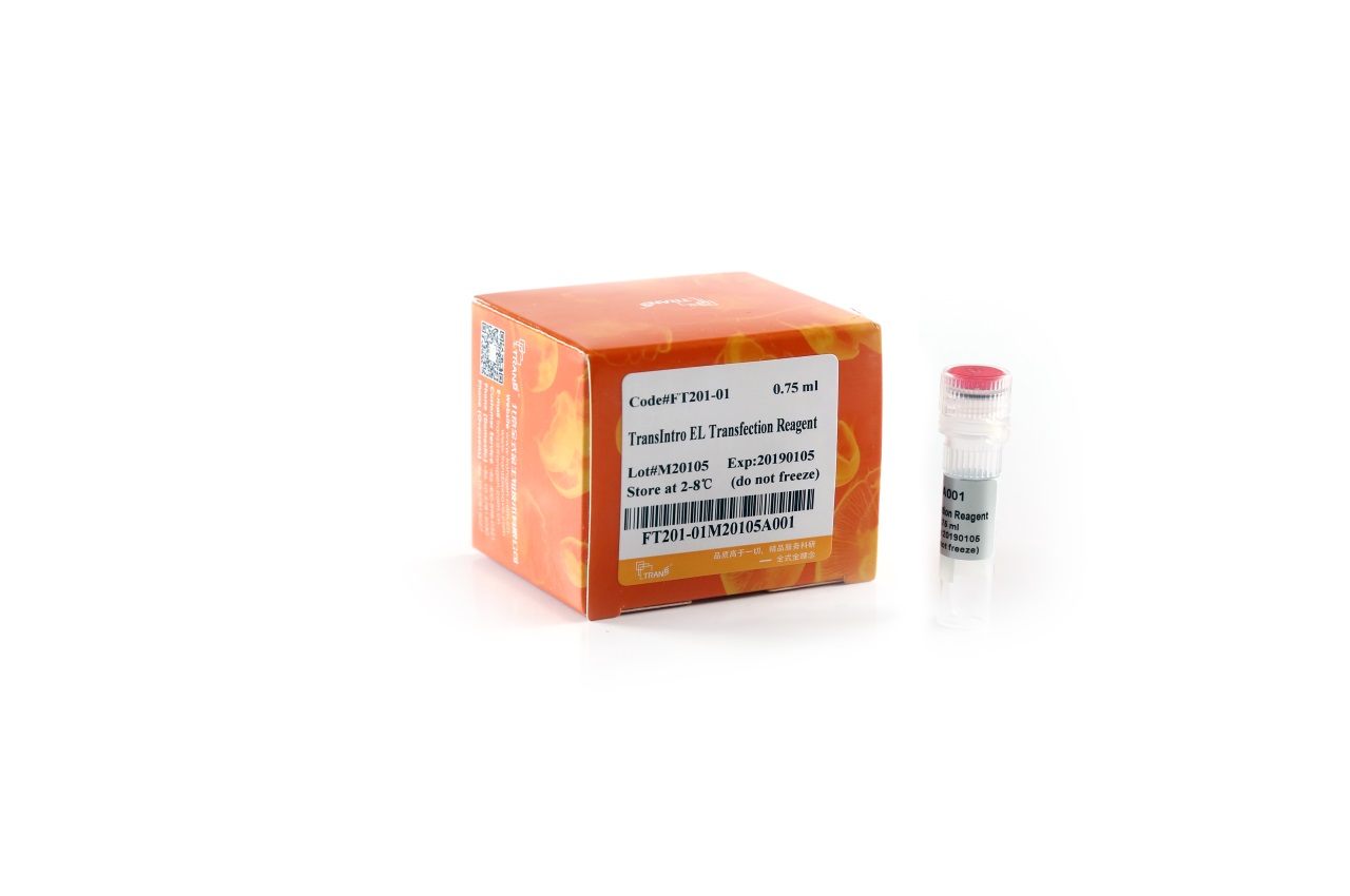 TransIntroTM EL Transfection Reagent