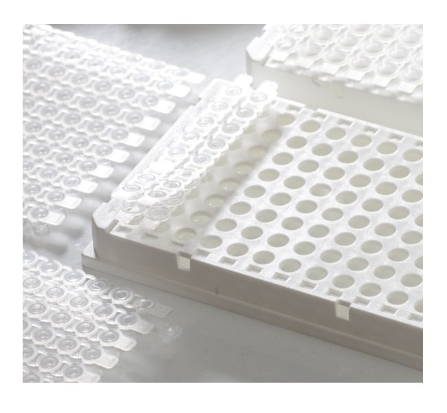 Thermo Fisher Scientific VersiPlate Frame, 96-well, skirted, white