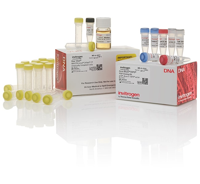 Thermo Fisher Scientific Zero Blunt TOPO PCR Cloning Kit, with One Shot MAX Efficiency DH5α-T1<sup>R</sup> E. coli, 25 Reactions