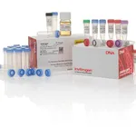 Thermo Fisher Scientific TOPO TA Cloning Kit for Sequencing, with One Shot Mach1 T1 Phage-Resistant Chemically Competent E. coli