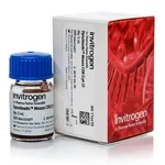 Thermo Fisher Scientific Dynabeads Mouse CD8 (Lyt 2)