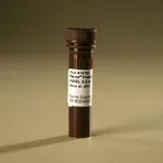 Thermo Fisher Scientific Pierce Firefly Signal Enhancer (100X)