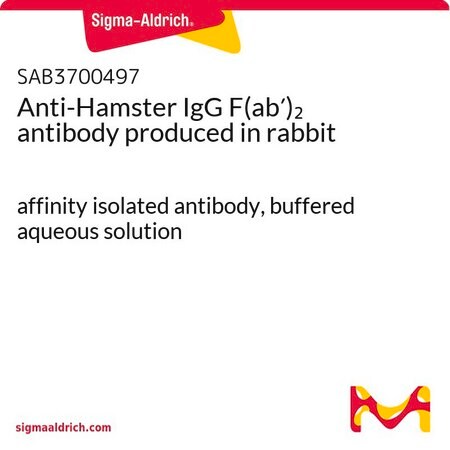 Merck Anti-Hamster IgG F(ab')2 antibody produced in rabbit