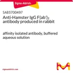 Merck Anti-Hamster IgG F(ab')2 antibody produced in rabbit