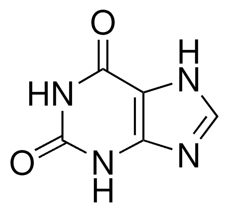 Merck Xanthine