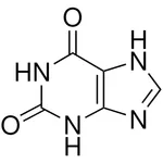 Merck Xanthine