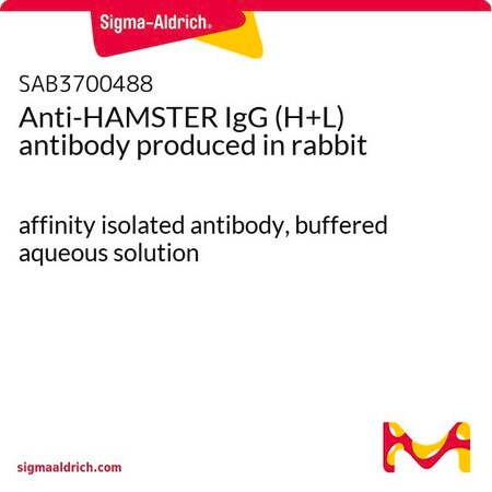 Merck Anti-HAMSTER IgG (H+L) antibody produced in rabbit